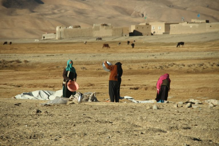 زندگی روستایی و کشاورزی در افغانستان — عکس: Farid Ershad / Unsplash