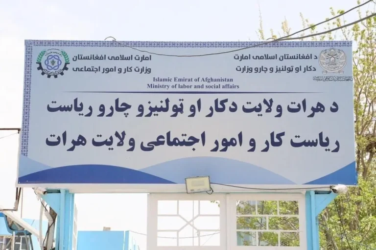 ۸۰۰ جوان در هرات آموزش‌های کمپیوتر را به همکاری وزارت کار و امور اجتماعی فرا می‌گیرند