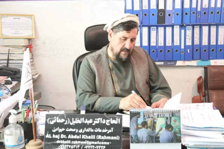 سالانه بیش‌از یک هزار تن گوشت مرغ در کاپیسا تولید می‌شود