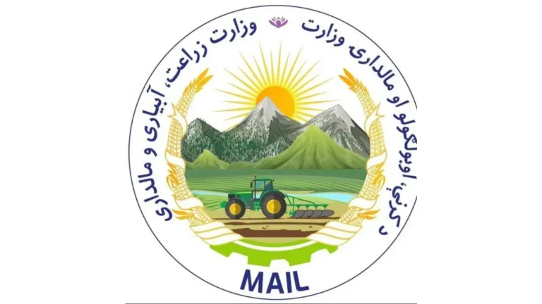 تأکید بر تقویت هماهنگی برای حفاظت از جنگلات و جلوگیری از قاچاق چوب