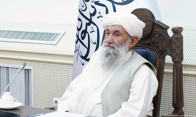 رییس‌الوزراء: حفاظت از منابع طبیعی، مسوولیت هر شهروند کشور است