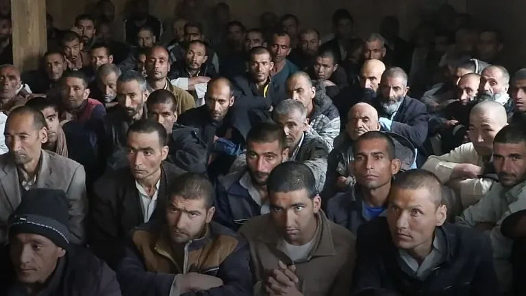 تداوی ۴۵ هزار معتاد در هرات طی پنج سال گذشته