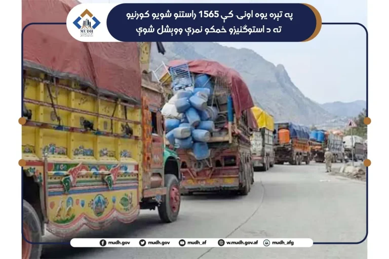 برای ۱۵۶۵ خانواده عودت‌کننده در چهار ولایت نمره‌های زمین رهایشی توزیع شد