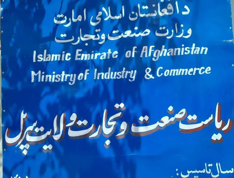 بیش از دو میلیون افغانی به ۲۰۰ زن متشبث در سرپل مساعدت شد
