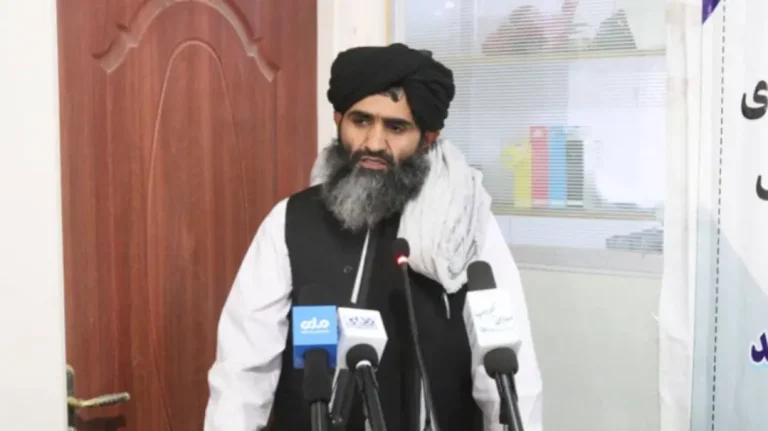 شاروالی محمود راقی بیش از 21 میلیون افغانی عواید جمع آوری کرده است