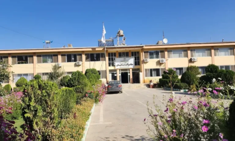 مسوولان بخش‌های انکشافی و زنان سازمان ملل متحد، از توجه شان به نیازمندی های مردم بامیان اطمینان دادند