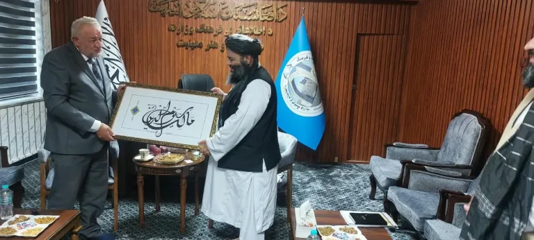 تأکید معین فرهنگ و هنر بر حفاظت معیاری از آبدات تاریخی کشور