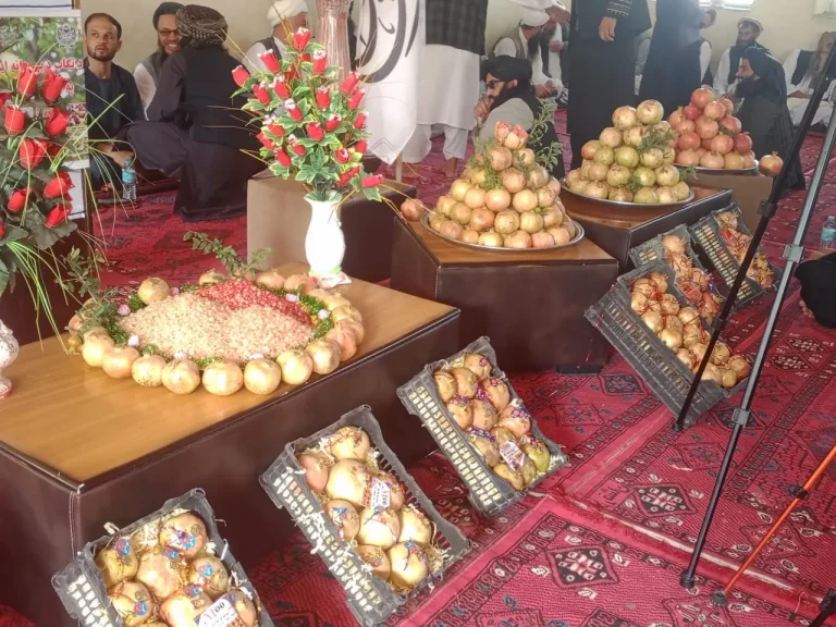 جشنواره فرهنگی انار در کاپیسا برگزار شد