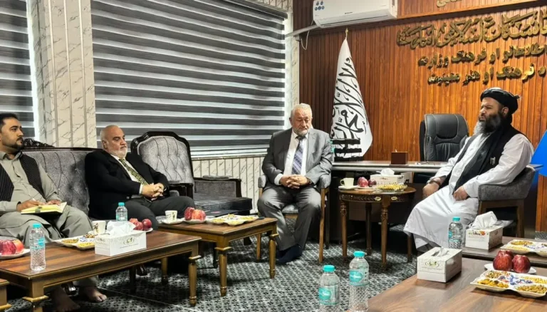 تأکید معین فرهنگ و هنر و نهاد تیکا بر حفظ و مرمت آثار تاریخی در افغانستان