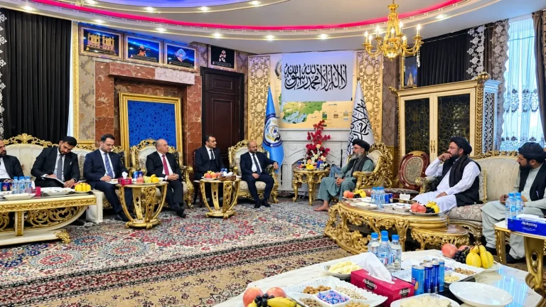 والی جوزجان و سفیر ترکیه بر گسترش همکاری‌ها تأکید کردند