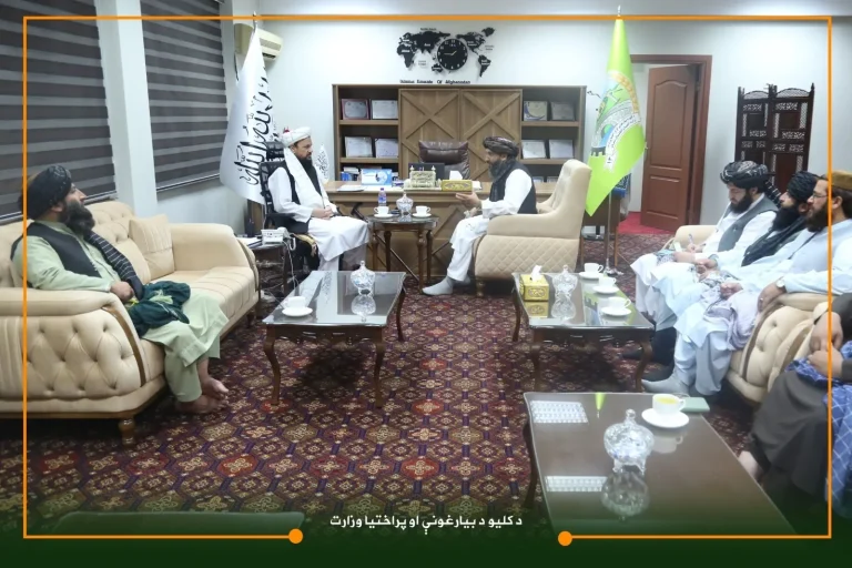 وزیر احیاء و انکشاف دهات با والی بامیان دیدار کرد