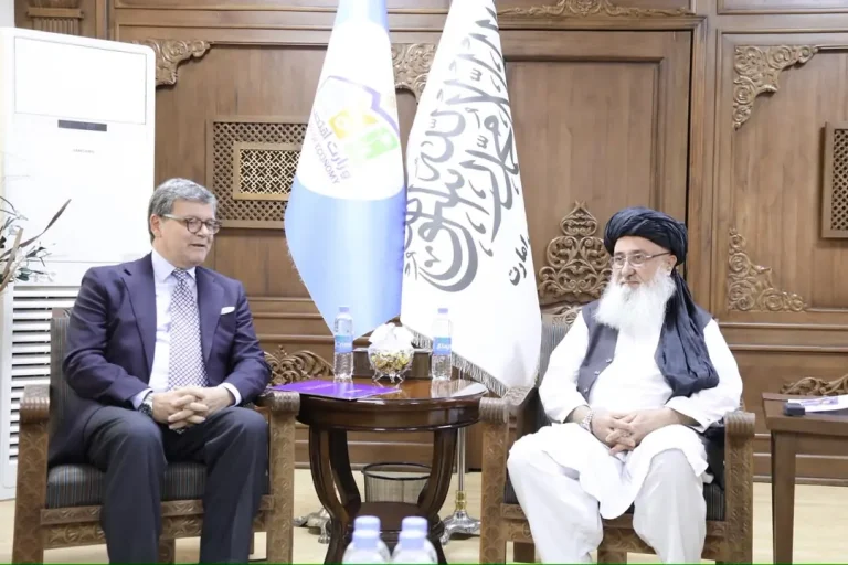 وزیر اقتصاد خواهان افزایش سرمایه‌گذاری اتحادیه اروپا در افغانستان شد