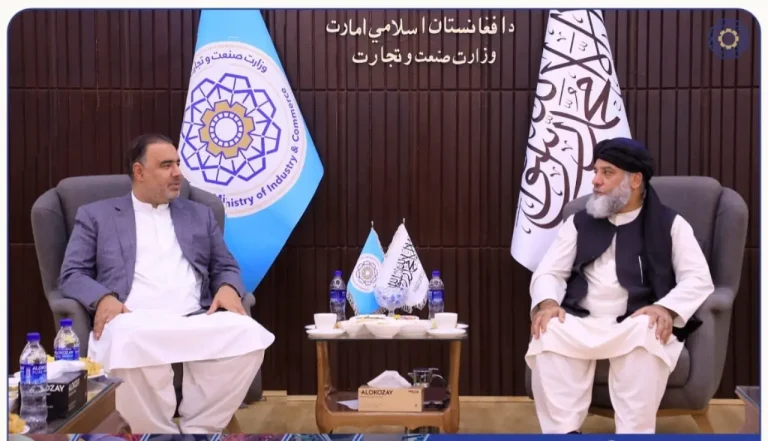 استخراج معادن و توسعه تجارت؛ محور گفت‌وگوی افغانستان و ایران