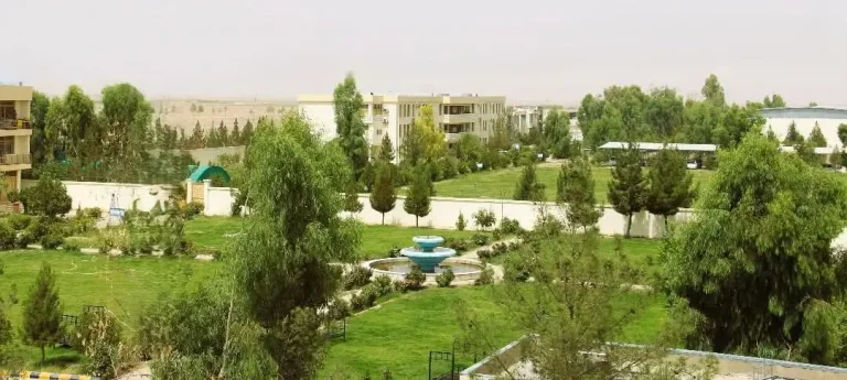 تاکید وزیر تحصیلات عالی بر آموزش مسلکی جوانان در بخش زراعت