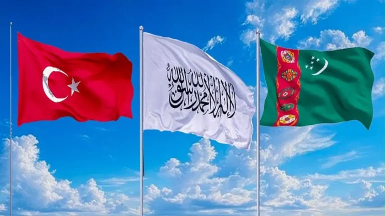 تاکید والی هرات بر گسترش همکاری‌های تجارتی، صحی و زیربنایی با ترکیه و ترکمنستان