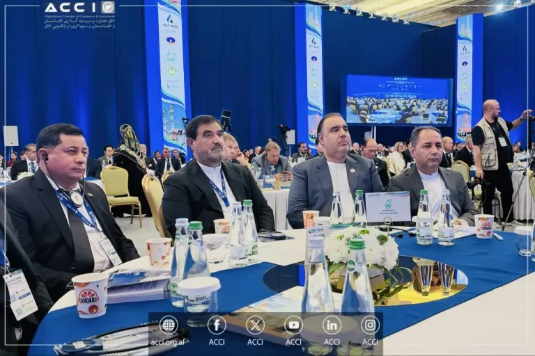 رئیس اتاق تجارت و سرمایه‌گذاری افغانستان خواستار جلب سرمایه‌گذاری خارجی شد