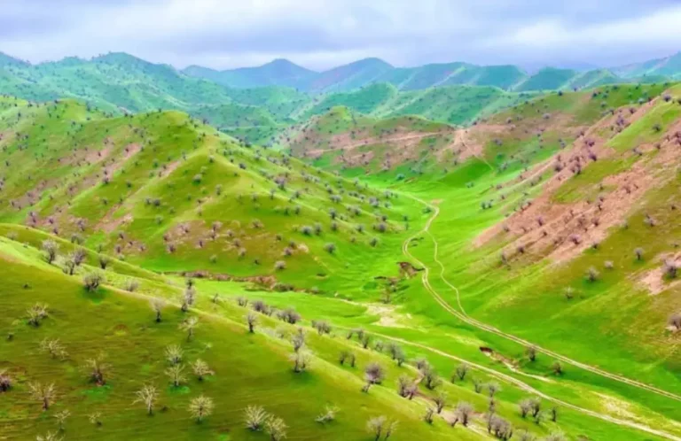 هزاران جریب زمین علفچر در بادغیس از غاصبان پس گرفته شده است